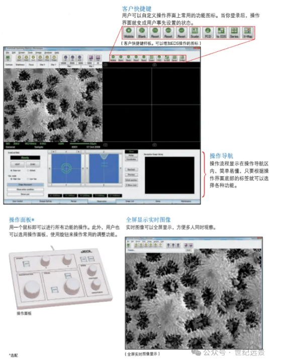 租售電鏡掃描