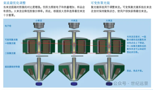 租售電鏡掃描
